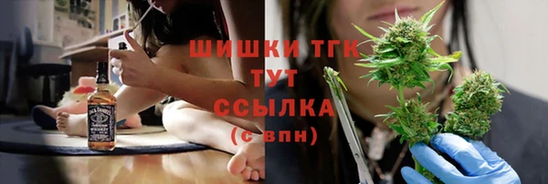 СК Горнозаводск