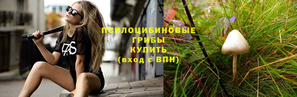 СК Горнозаводск
