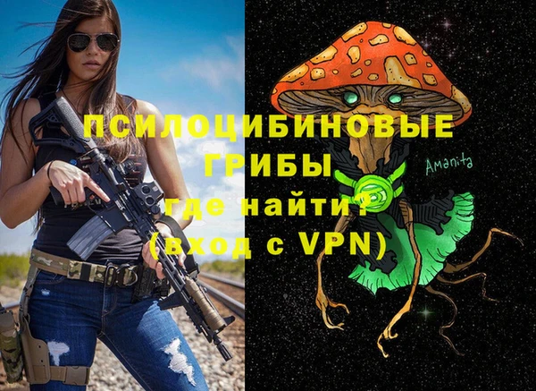 СК Горнозаводск