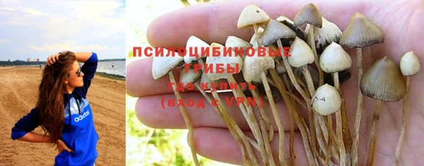 СК Горнозаводск